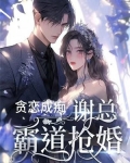 贪恋成痴,谢总霸道抢婚