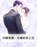 闪婚总裁宠妻太霸道
