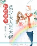 闪婚莫暖全文免费阅读