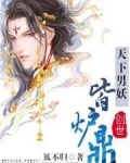 天下男妖皆炉鼎