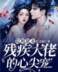残疾大佬心尖宠 替嫁