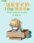 治愈忠犬的108种途径 百度网盘