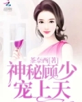 神秘顾少,宠上天 茶奈西