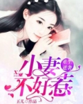重生逆袭:小妻不好惹 小说