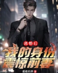 离婚后，我的身份震惊前妻