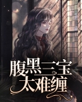 小说腹黑三宝