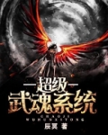 超级武魂系统