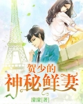贺少的闪婚暖妻免费阅读全文 小说