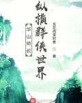 华山师叔纵横群侠世界