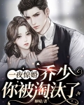 一夜惊婚总裁的掌中宝全文免费阅读
