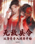 无敌县令：从替哥哥入洞房开始