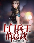 上门兵王俏总裁全文免费阅读
