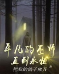 平凡的巫师：直到永恒