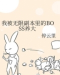 我被无限副本里的BOSS养大cp