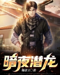 暗夜潜龙全文免费阅读