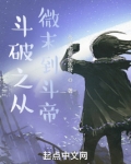 斗破之从微末到斗帝