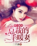 豪门独宠,总裁的二手暖妻小说