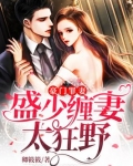 豪门罪妻:盛少缠妻太狂野