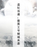 盗妃当道：腹黑王爷倾城来袭