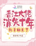 香江大佬消失十年的妻回来了