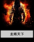 下载龙婿小说