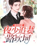 小说男主叫夜殇
