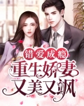 错爱成瘾：重生娇妻又美又飒