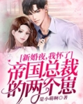 新婚夜,我怀了帝国首富的四胞胎免费阅读