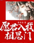 愿君入我相思门全文免费阅读全文