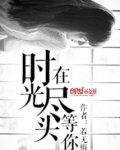 在时光尽头等你宁远的结局