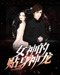 女神的贴身神龙全文免费阅读