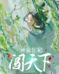 神偷狂妃 小说