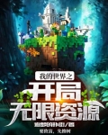 我的世界之开局无限资源 追梦的扑街
