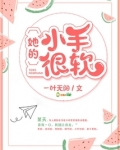 她的小手很软小说全文免费阅读