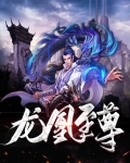 龙中至尊