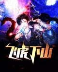 飞虎11