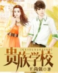 贵族学校和普通学校的区别?
