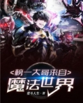 榜一大哥来自魔法世界TXT下载