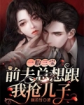 一胎三宝：前夫总想跟我抢儿子
