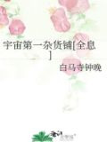 宇宙第一杂货铺[全息]