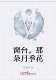 窗台,那朵月季花